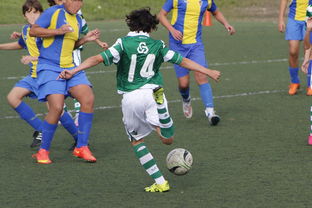 开云体育app-奥地利乒乓球队绝地反击英国乒乓球队，樊振东绝境逆转